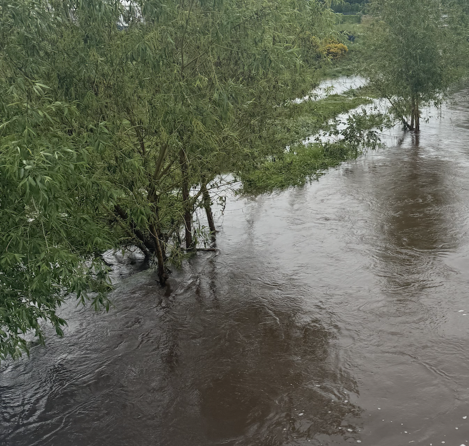 New Mix Alert: Raven DnB posts a new mix